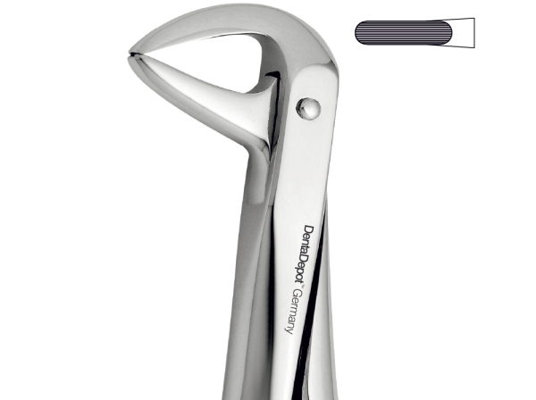 Extracting Forceps, English Pattern, Lower centrals and roots (DentaDepot)