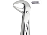 Extracting Forceps, English Pattern, Lower incisors and premolars (DentaDepot)